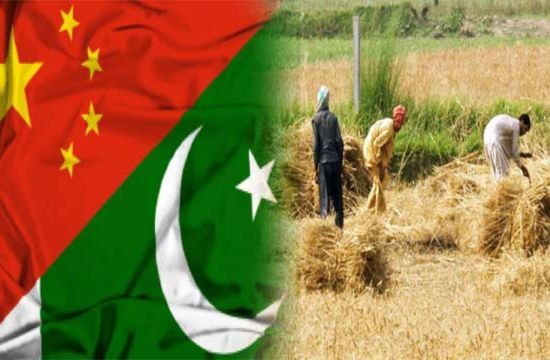 Recent Blog Thumbnail